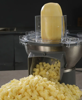 Eenvoudige bediening 200 W groentesnijder, uien snijmachine voor fruit zoals drakenvrucht/mango/aardbei/groenten