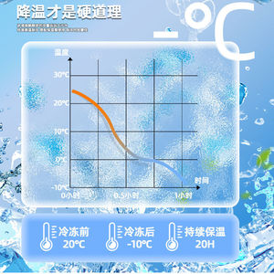 Ice Packs Rectangle Reusable Freezable Cooling Pack For Travel Food Storage - Product Image 4