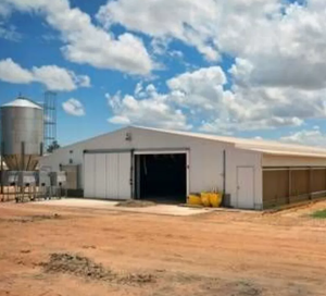 เล้าไก่โครงสร้างเหล็กสำเร็จรูป | บ้านสัตว์ปีกที่ทนทานและประกอบง่าย - Product Image 6