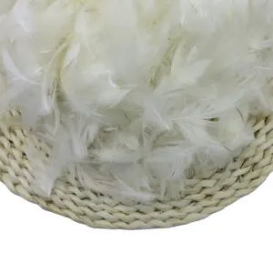 Patrón lavado de plumas de pato blanco de 2-4cm