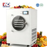 Pilot-scale lyofilisatie-apparatuur voor de productie van premium bessen en fruitchips met een vaporcondensor op -50°C