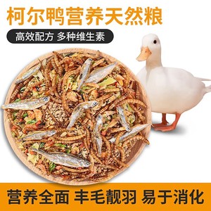 Alimento Completo para Aves con Gusanos de la Harina y Vegetales Secos para Patos y Gallinas, Nutrición para Adultos - Product Image 4