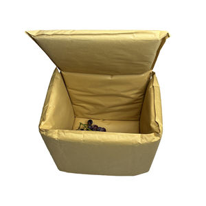 Durável Impermeável Térmico Isolado Caixas De Transporte Liner Carton Frozen Food Transporte Frio Embalagem para Marisco Nova Zelândia - Product Image 3