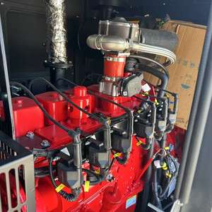 Generatore a Gas Naturale C-um-mins con Avviamento Remoto Automatico, Tipo Silenzioso, 50Hz 60Hz 380V 100kva, Generatori a GPL, GNL, CNG e Biogas in Vendita - Product Image 3