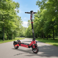 Trottinette électrique pliable RCB D5 48V 20.8Ah Lithium 250W pour UE 500W UE Capteur numérique Cadre en alliage d'aluminium