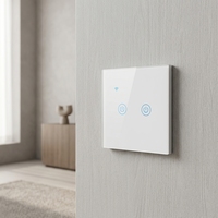 Interrupteur intelligent Tuya Larkkey à 2 boutons en verre, Wi-Fi L+N/L, en promotion, au meilleur prix
