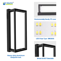 Lampe murale extérieure Tuya WIFI certifiée ETL, 30W, IP65, étanche, à montage mural, LED RGBCW, 0-100% dimmable