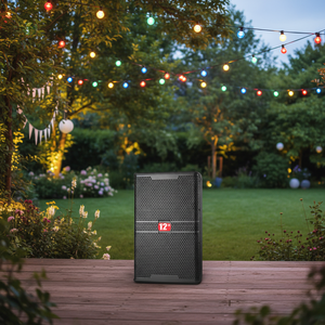 Meistverkaufte Hochwertige 12-Zoll Professionelle Audio-Karaoke-Lautsprecher 400W Surround-Sound Tragbar für Konferenzen und Bühnenauftritte - Product Image 4