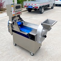 Hoge kwaliteit groente- en fruit-chipsnijder, -snijmachine en -slicer