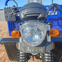 Motocyclette benne basculante à 9 roues, 350 cm³, motorisée, avec deux essieux arrière doubles