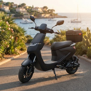OEM Factory Direct Supply <b>1000W</b> Motor Long Range Urban Cruiser Scooter with Led Light - Product Image 2