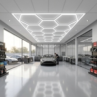 Lumière LED 6000K - Lumière douce et brillante pour garage, atelier et detailing automobile - Portable, alimentée par courant alternatif, IP20