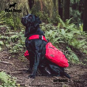 กระเป๋าใส่สัตว์เลี้ยงแบบสะพายหลัง BlackDoggy CB ปรับได้ 2-in-1 ดีไซน์ถอดประกอบได้ ทำจากโลหะ ความจุขนาดใหญ่ - Product Image 3