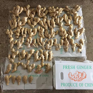 顶级中国风干鲜姜 - Product Image 1