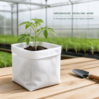 Sacs de culture souples en tissu blanc pour pépinières, semis, herbes et légumes – Vente en gros