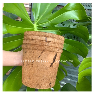 Pots à fleurs en fibre de coco émaillés de haute qualité, écologiques, durables et biodégradables par Eco2go Vietnam - Product Image 4