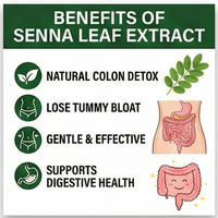 Complément Détoxifiant 100% Naturel aux Feuilles de Séné – Perte de Graisse Abdominale, Nettoyage du Côlon, Thé Détox