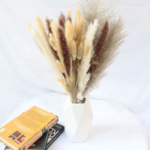 Vente en gros de fleurs séchées pour la décoration de la maison, arrangement de style nordique minimaliste, design floral - Product Image 3