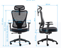 Nouvelle conception, chaise de bureau exécutive en maille de haute qualité pour visiteurs et officiels, chaise de bureau ergonomique en maille à faible coût, réglable en hauteur