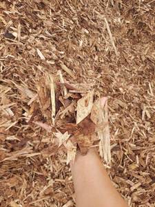 ไม้ฝุ่น/ไม้โกนสำหรับเตียงสัตว์ที่มีคุณภาพสูงและราคาที่แข่งขันในเวียดนาม!!! - Product Image 4