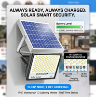 Lampe solaire de rue extérieure avec affichage du niveau de la batterie, éclairage LED solaire, étanche IP67, style rétro pour cour extérieure