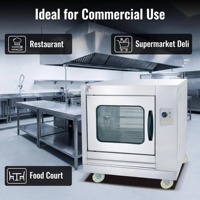 Four électrique multifonction à prix d'usine, rôtissoire à cailles et poulet, en acier inoxydable de qualité alimentaire, puissance 10KW, pour snacks