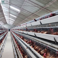 Équipement avicole complet : Système de cages en batterie de type A avec abreuvoir et mangeoire automatiques pour 20 000 poules pondeuses en ferme avicole