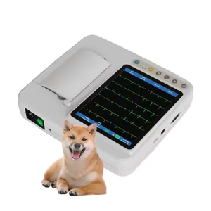 Draagbare 12 Lead Elektrocardiogram Ecg Apparaat Goedkope Dierenarts Ckg Machine Met Drie Kanalen Herbruikbare Elektrode Monitor Voor Hond - Product Image 5