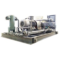 Compresor de Aire Reciprocante de Pistón para Gas GNC, N2, CO2, O2, de Alta Presión de 250 Bar, Tipo D, Suministro Directo de Fábrica