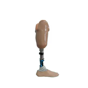 Artificial Leg for Amputee Limbs Parts Knee Joint Prosthetic Foot