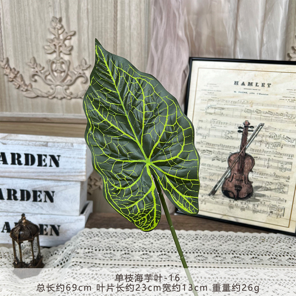 YM2-Single taro leaf-16