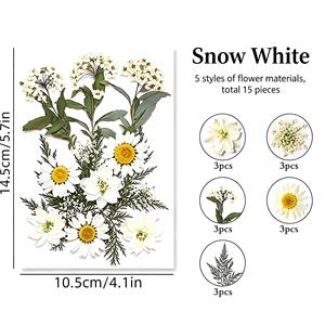 ชุดวัสดุกลีบดอกไม้แห้งสีขาวสำหรับงาน DIY งานฝีมือ ทำเครื่องประดับ ตกแต่งบ้าน และห่อของขวัญ - Product Image 1