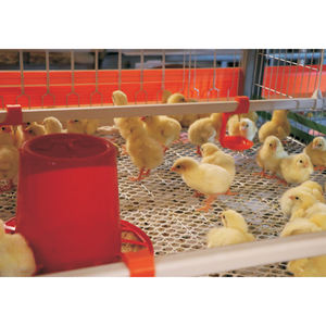 Équipement agricole de haute qualité pour poulets de chair et poules pondeuses, poulailler - Product Image 6