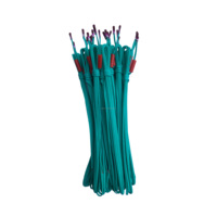 Allumeur électronique antidéflagrant certifié CE de 50 cm avec télécommande pour utilisation en extérieur lors de feux d'artifice