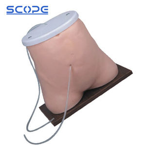 Klinik beceri eğitimi mankeni dayanıklı canlı gelişmiş PVC SC-L64 Peritoneum diyaliz tıbbi modeli - Product Image 5