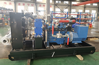 Groupe électrogène au gaz naturel Weichai 80 kW 100 kVA, cogénération CHP, ultra silencieux pour les écoles et les hôpitaux
