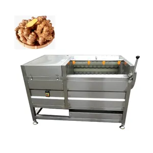 Küçük ölçekli ticari elektrikli otomatik rulo fırça zencefil soğan patates yıkama ve soyucu makinesi patates kızartması için