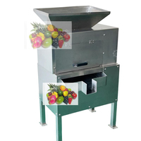 Commerciële Fruitextractor Granaatappelpulpmachine Passievruchtensapmachine