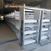 Cage à poulets de chair de type H tout-en-un avec système d'évacuation automatique des déjections par chaîne, galvanisée à chaud, ventilation intégrée pour bâtiment avicole industriel