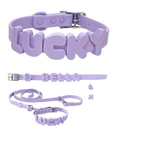 <span class=keywords><strong>Collare</strong></span> <span class=keywords><strong>per</strong></span> cani fai-da-te <span class=keywords><strong>con</strong></span> 26 ciondoli a forma di lettera | <span class=keywords><strong>Collare</strong></span> elastico personalizzabile <span class=keywords><strong>con</strong></span> il <span class=keywords><strong>nome</strong></span> dell'animale, adat - Product Image 2