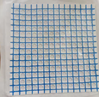 Localisateur cutané médical jetable en forme de grille X pour biopsie par tomodensitométrie, utilisé pour le positionnement chirurgical par tomodensitométrie