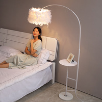 Lampadaire en plumes de style moderne, adapté aux salons, chambres à coucher, canapés, tables basses et tables de pêche.