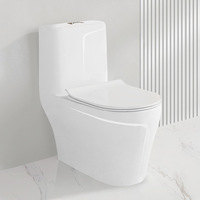 WC monobloc en céramique émaillée, sanitaires en céramique, design moderne