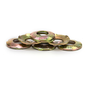 Arandela de contacto cónica con muelle dentado al por mayor, arandela de muelle con dentes SN70093, arandela de bloqueo de cuña <span class=keywords><strong>Nord</strong></span>-<span class=keywords><strong>Lock</strong></span> NL5SPSS 254 - Product Image 2