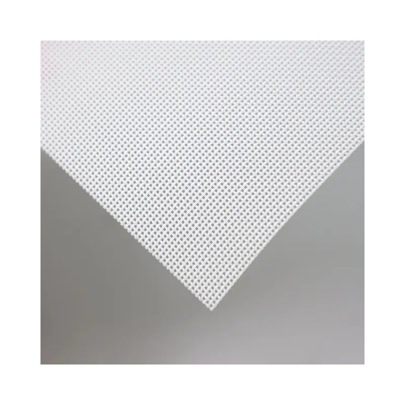 Hot Sale Polyester Plain Weave Square Hole Mesh Fabric Cloth For Filtration Industry