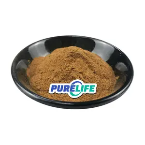 Wholesales Best Price Organic Herb Extract 10:1 20:1 Echinacea Angustifolia Extract Powder