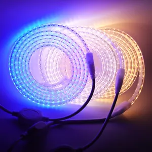 12v发光二极管条形灯防水贴片2835 30LEDs/M柔性胶带小发光二极管条5V