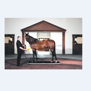 HS-1500 Haustier Tier Waage Heavy Duty Horse Scale - Product Image 6