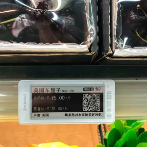 Zkong etiqueta eletrônica de prateleira de 2.13 polegadas, e-ink, display de papel esl