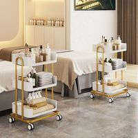 Chariot de luxe léger haut de gamme pour salon de beauté, gestion de la peau, chariot avec étagère de rangement en bois, chariot à outils en métal et en plastique